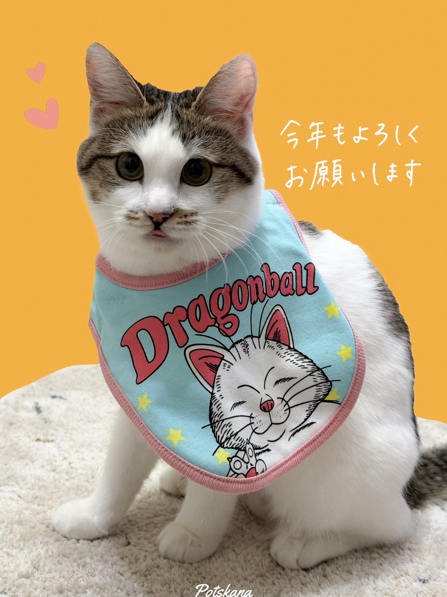 かな🩵YZF R1M (@potskana) / Highlights / X