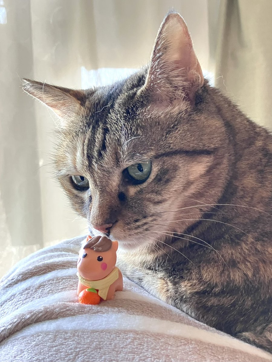 Jam or Pains. (@JamorPains) / Posts / X