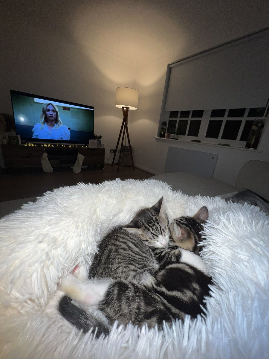 Miss Thompson PE tweet media