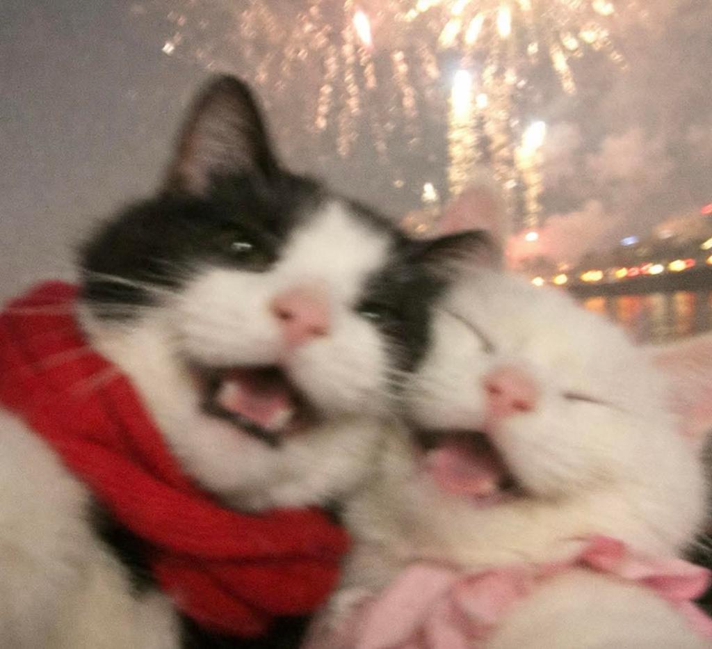 sam143c's tweet image. ADEUS 2025