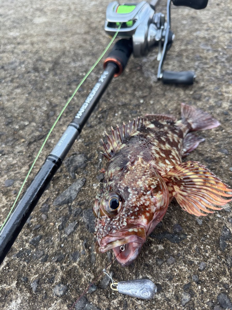 シマノ ハードロッカーXR B710M シマノ ハードロッカー XR B710M (ロッド・釣竿) 価格比較 - 価格.com