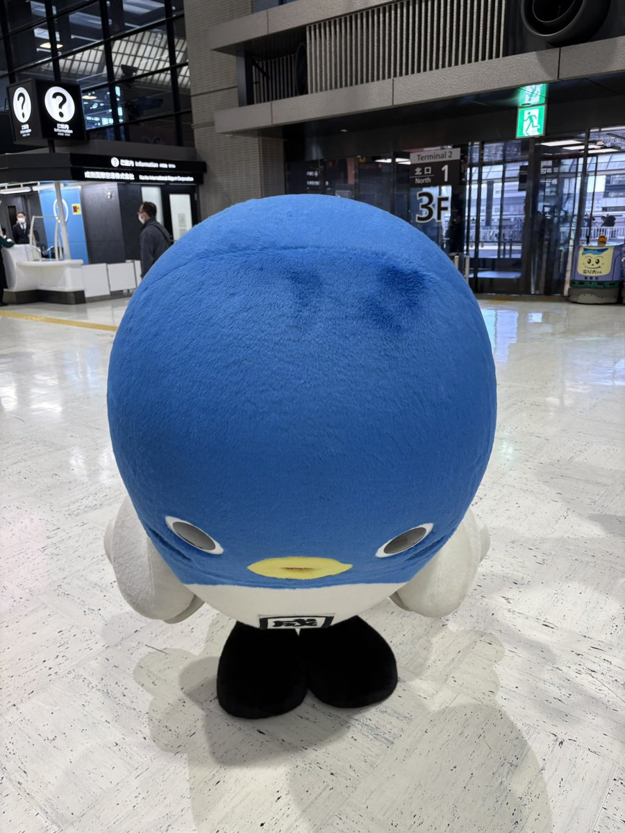 ひろぴん (@HIROMY_pink) / Posts / X