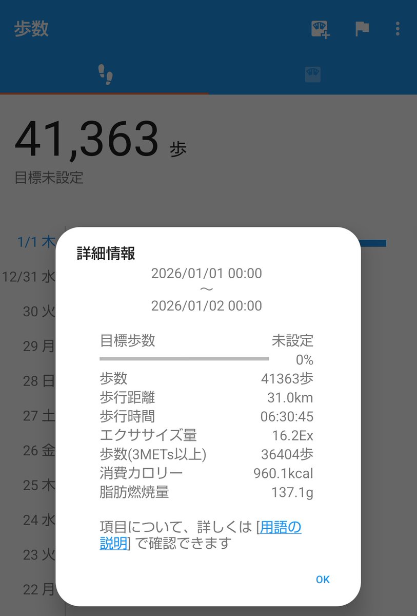 帰宅…！ 4万歩超え31kmという大記録でした 新年は迎えてしまったので