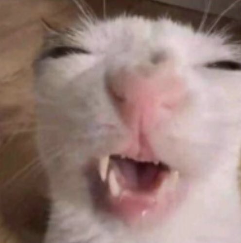 Habe eventuell was riskantes gemacht was ein insanes 50/50 ist ach du shaise