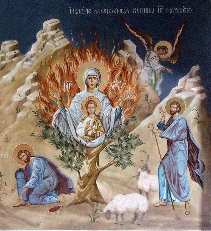 In the bush which Moses saw unconsumed, we recognize the preservation of thy glorious virginity: holy Mother of God, intercede for us.
#catholic