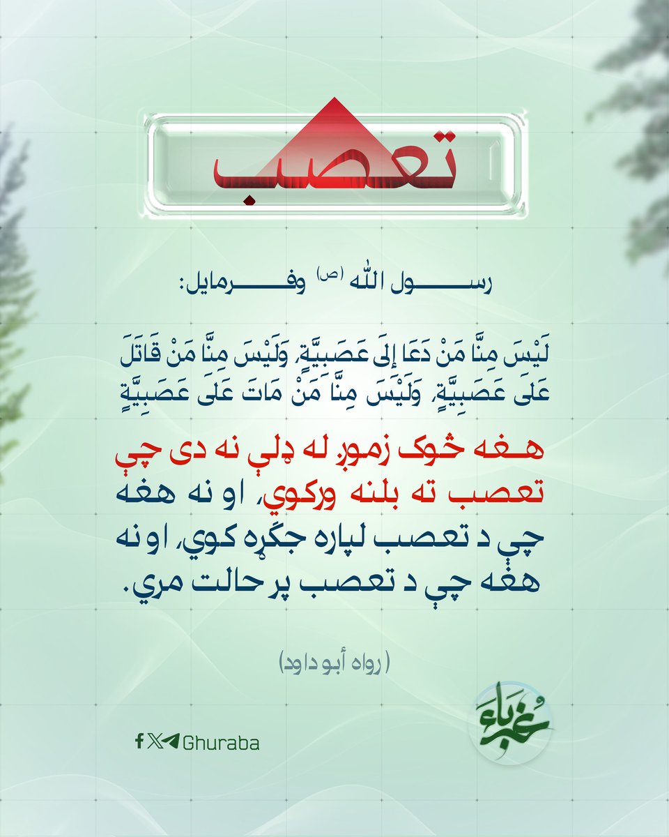 Omari Malangعمري ملنګ (@nasirkhan3322) on Twitter photo 