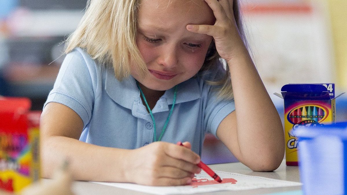 wizard stories tweet media