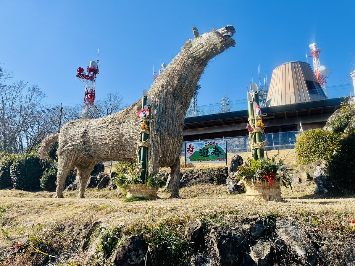 えりぴょん (@eripyon32) / Posts / X