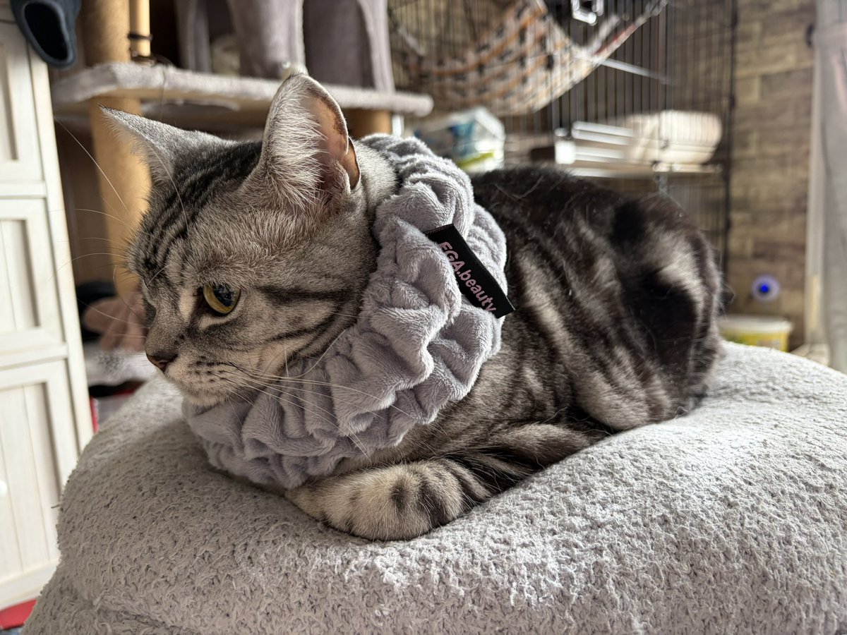 エガちゃん福袋届いた ヘアバンドも入ってて激熱