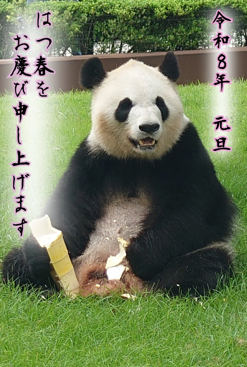 本年もよろしくお願い致します🙇🏻‍♀️💞