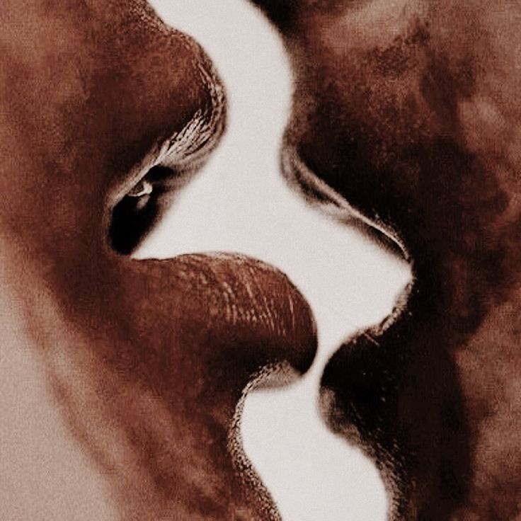 Nov ✨️🎠 tweet media