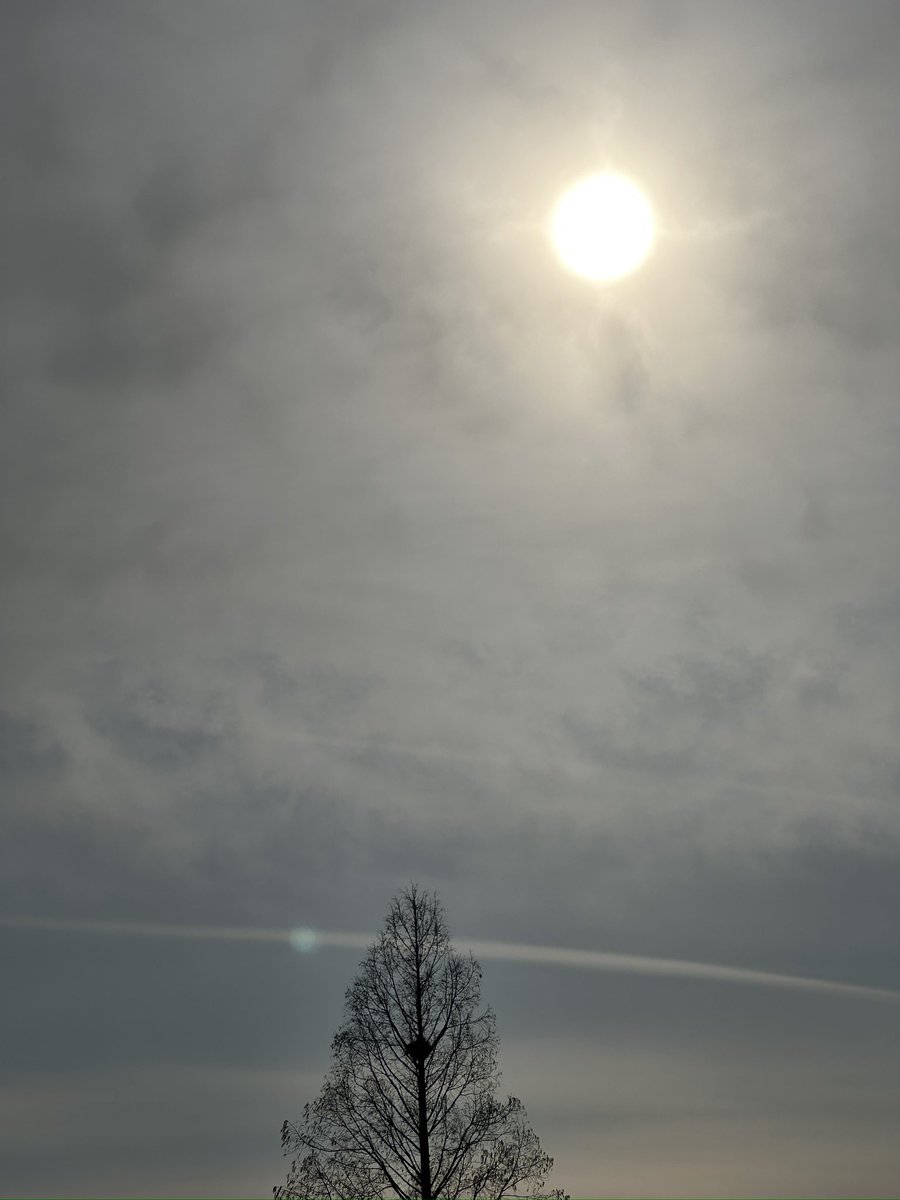 곰도라🧸 (@gom_for_crsm) on Twitter photo 