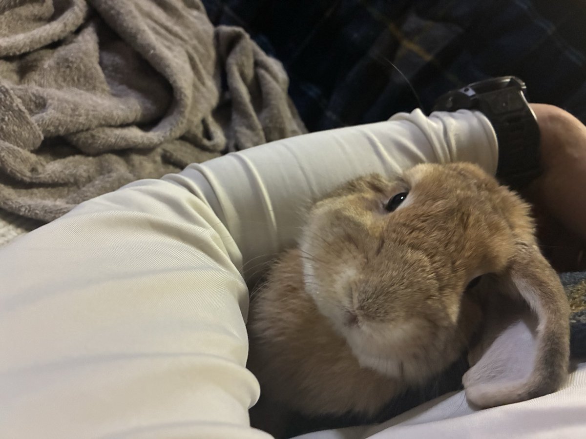 今年もかわいいね〜♪