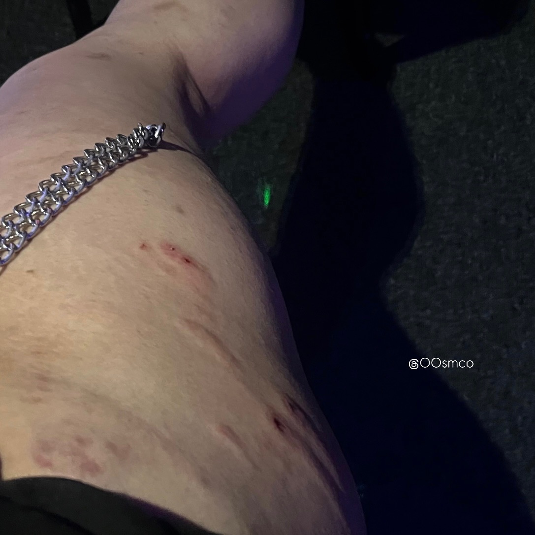 レレ(22) tweet media