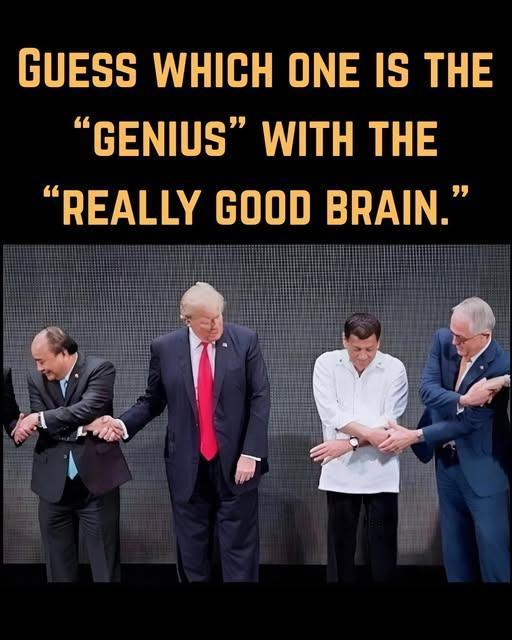 #nafo #nafofella #trump