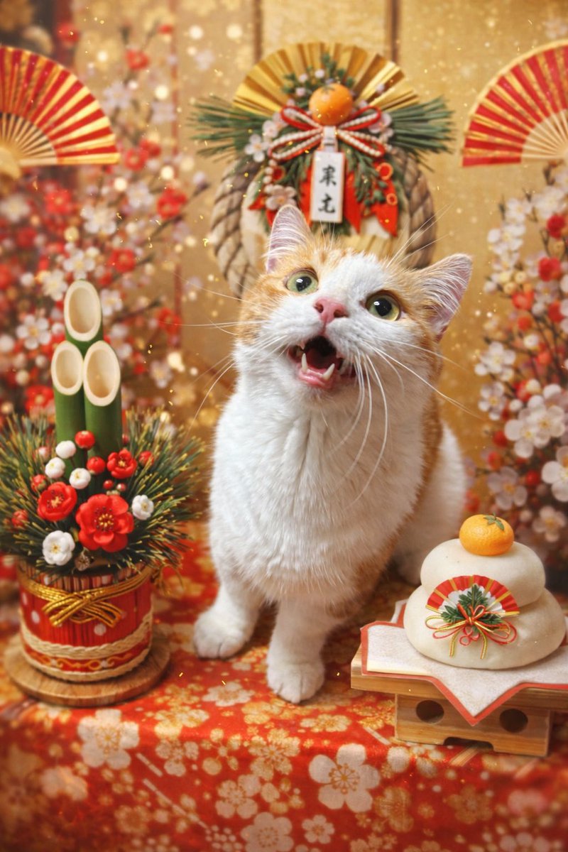 あけましておめでとうございます
今年もよろしくお願いします