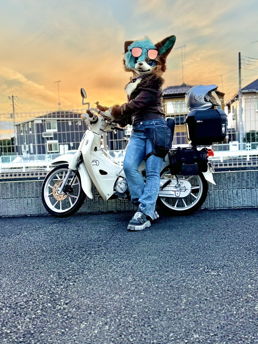 YuhoAsh's tweet photo. lv.29
カブと一緒 https://t.co/E8O8IXbyiw