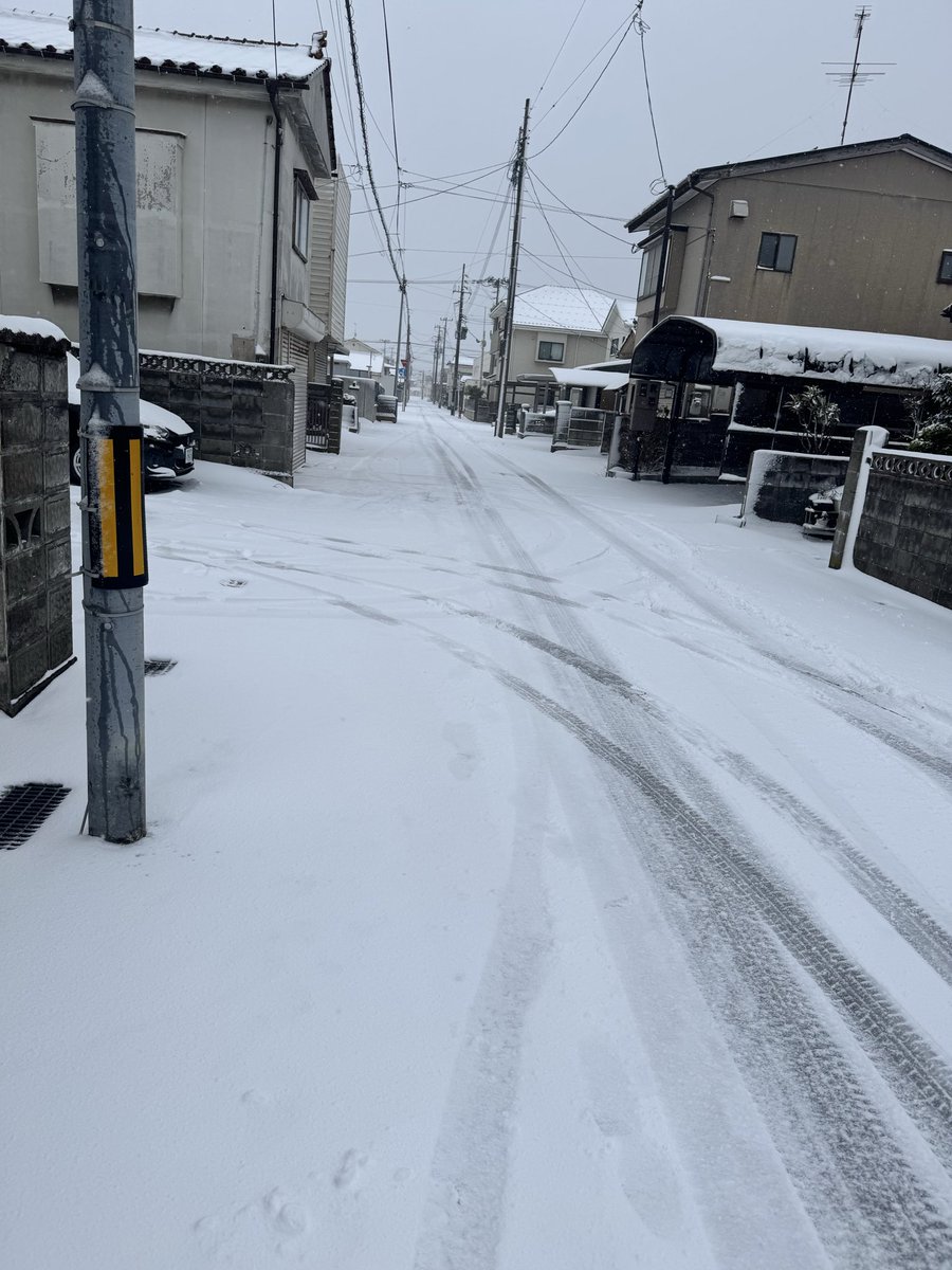 ほっち☆ tweet media