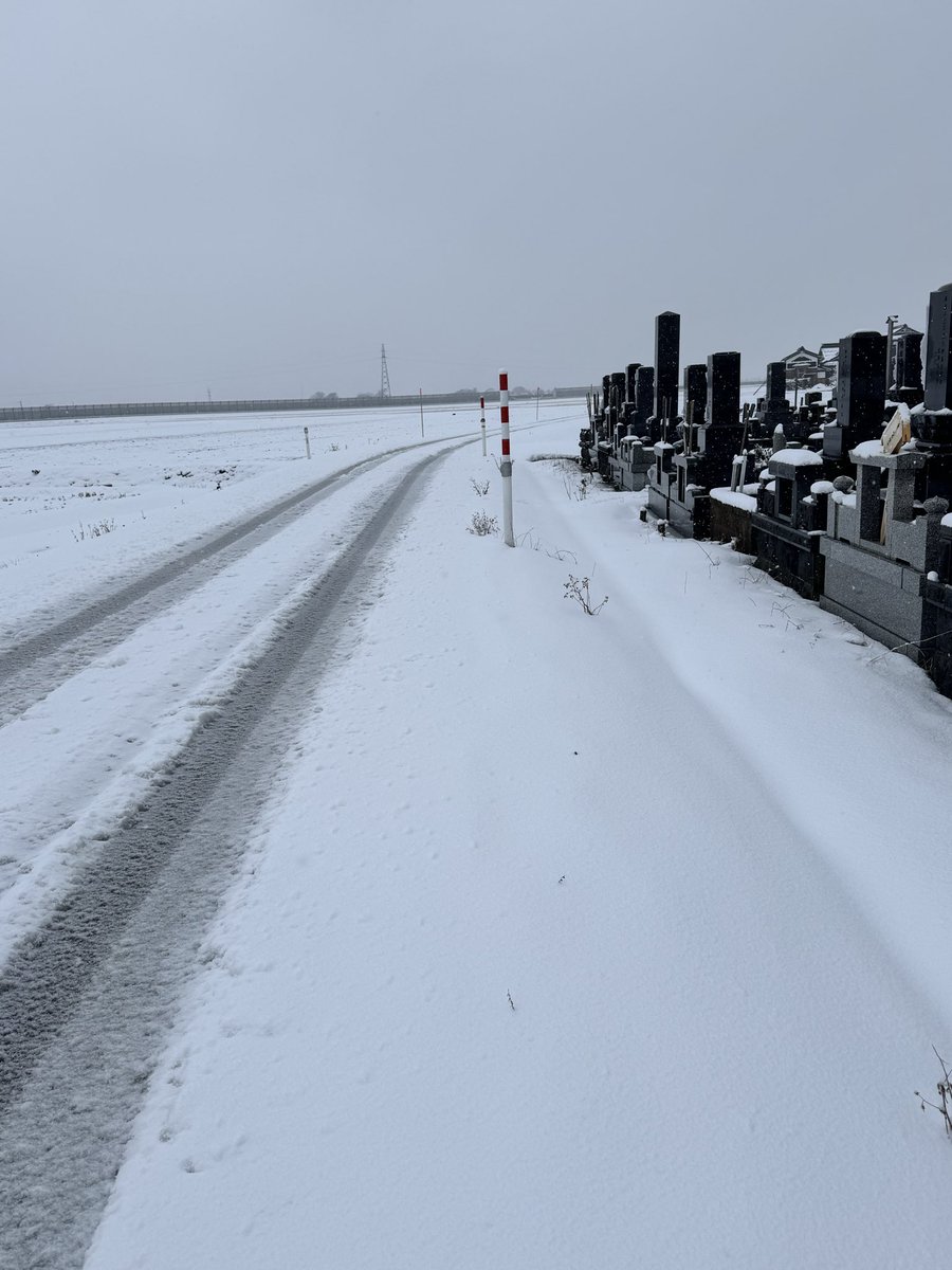 ほっち☆ tweet media