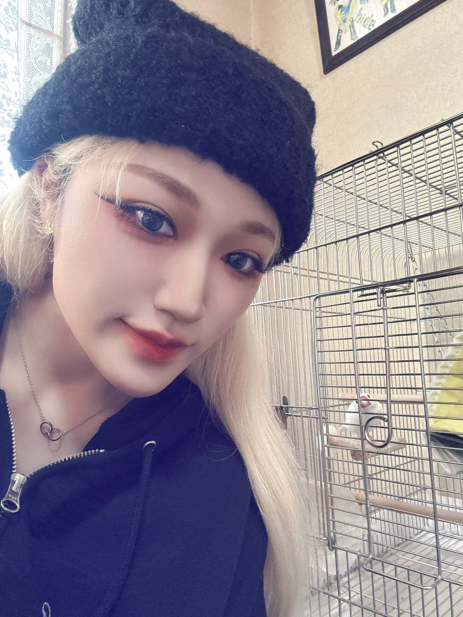 ぷんちゃんはこんな感じです🕊️🤍