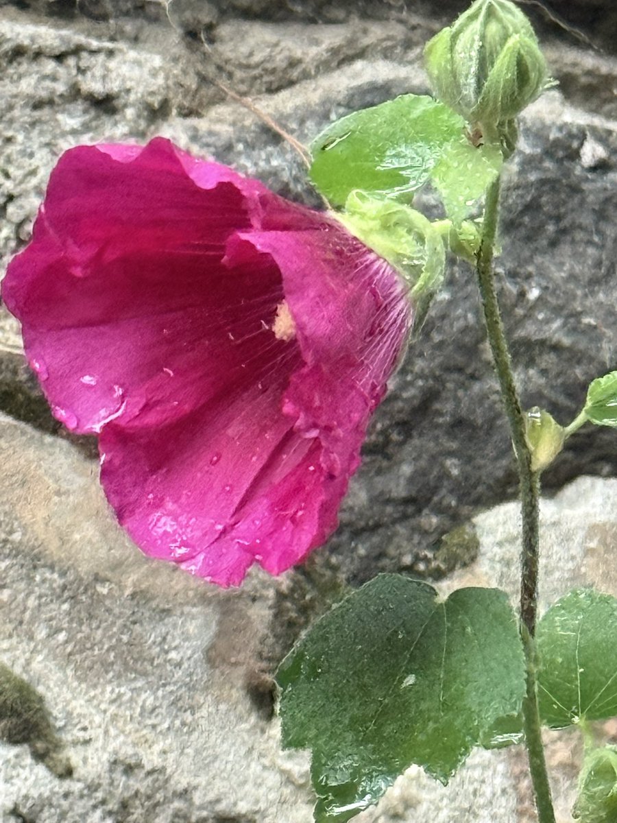 💐Yeni yılınız kutlu olsun ☃️

💚 Kalpler umutla dolsun 💚

#YeniYıl #2026

<a href="/NailDayanc/">nail dayanç</a>