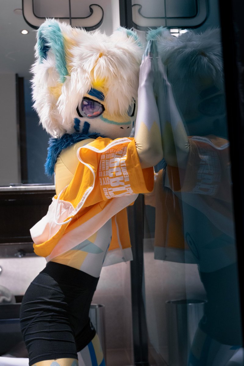 #FursuitNewYears
他的背影慢慢走远，消失在风中，
我把时光紧紧握着，揣进每个梦，
那些来不及拥抱的夜，是被风带走的诗，
有淡淡的后悔，有轻轻的安慰。
陈楚生《墙》
📷<a href="/cjjchenmiaomiao/">想拍毛毛的喵喵</a>