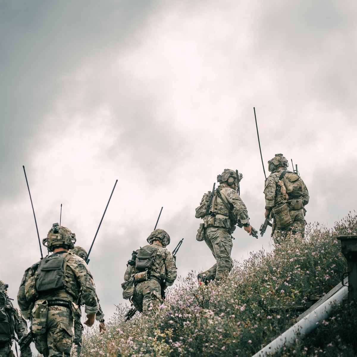 ColdJason tweet media