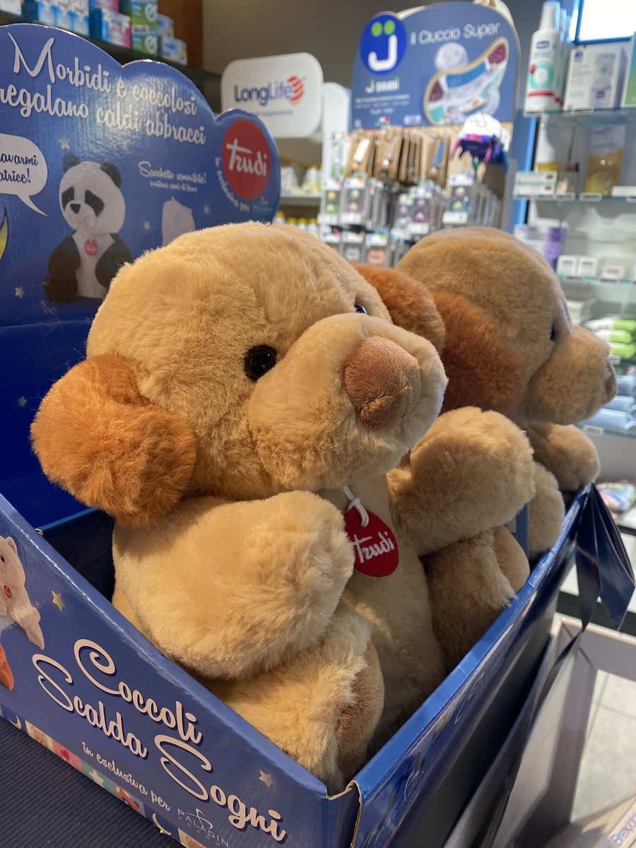 Sonia Zuccaro tweet media