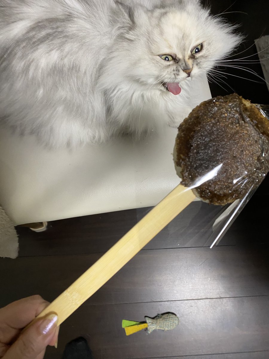 新年といえば餅よね

、てこれ五平餅じゃない！