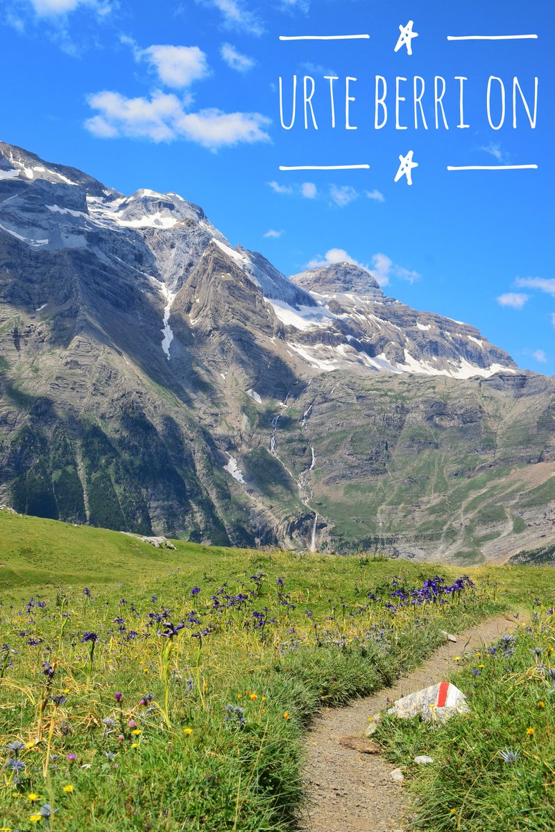 Poblauko semea (@zpudio) on Twitter photo 