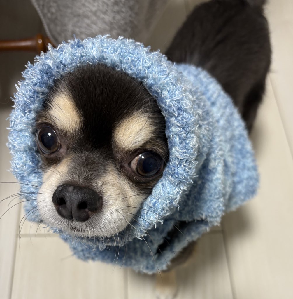 あろん tweet media