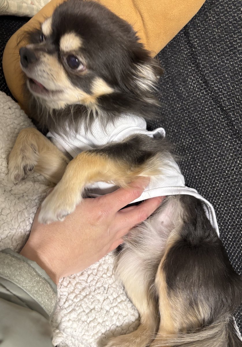 あろん tweet media