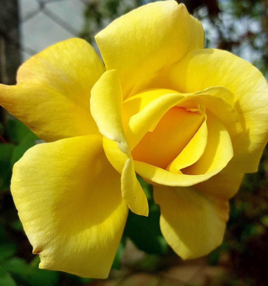 Maria Lea tweet media