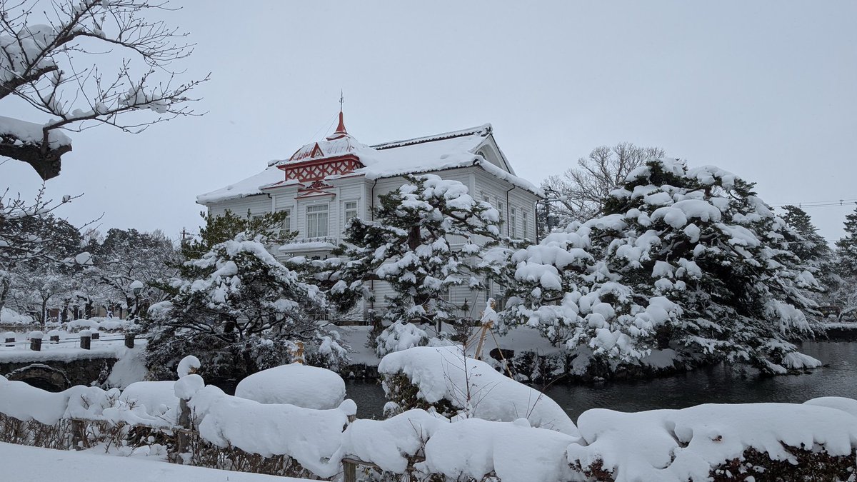 shiromoon tweet media