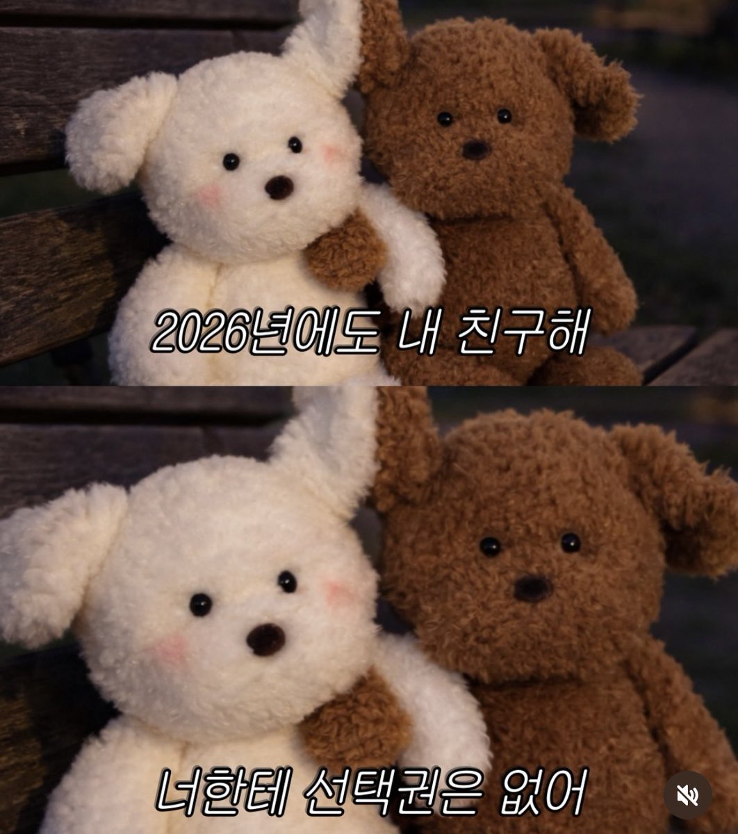 🎉해피뉴이어🎉 새해 선물(?)로 25 킅 피날레 자켓이 왔어요. 스프링 자켓에서 디자인만 다른 느낌이네요 어서 시즌 시작해서 손마킹 받고싶어 케이티 이겨. 삐뤼뤼 이겨. (그리고 나 팬미도 당첨시켜) 아무튼 2026 모두 화이팅~!