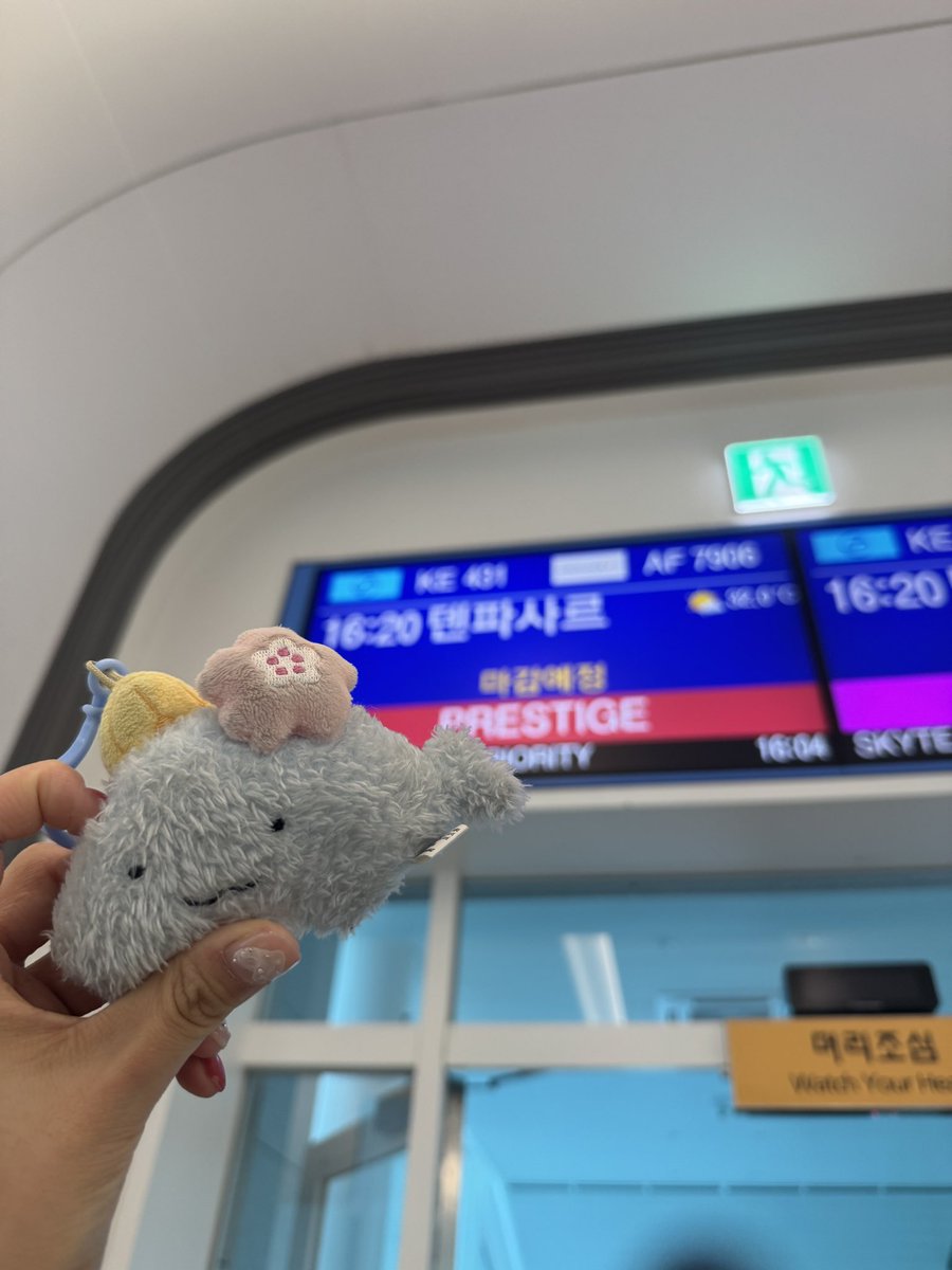 발리로 가보쟈 꼬래야 🤍🤍