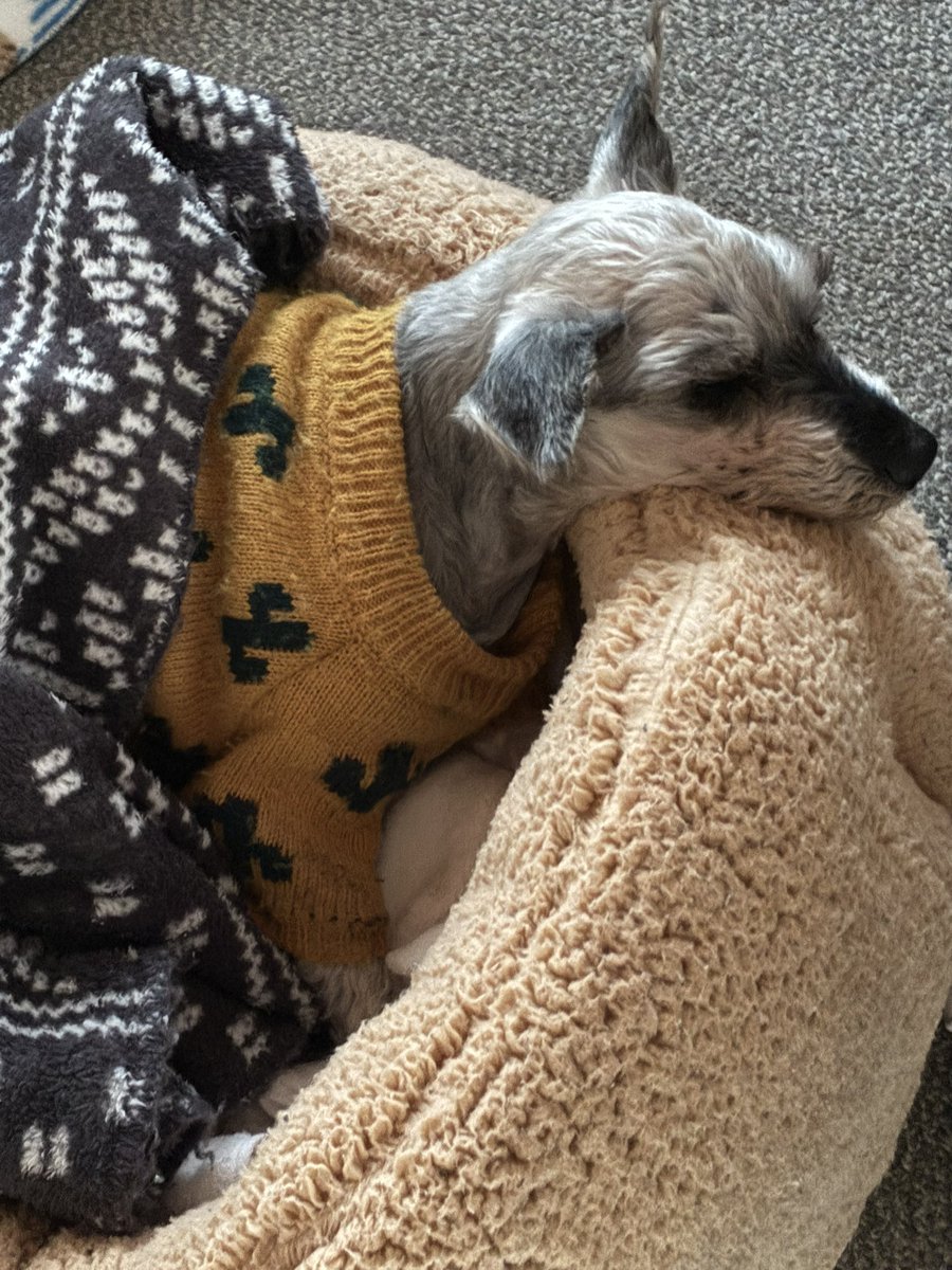 えぇ、起きませんよ〜 
みんなで寝正月のしあわせ〜