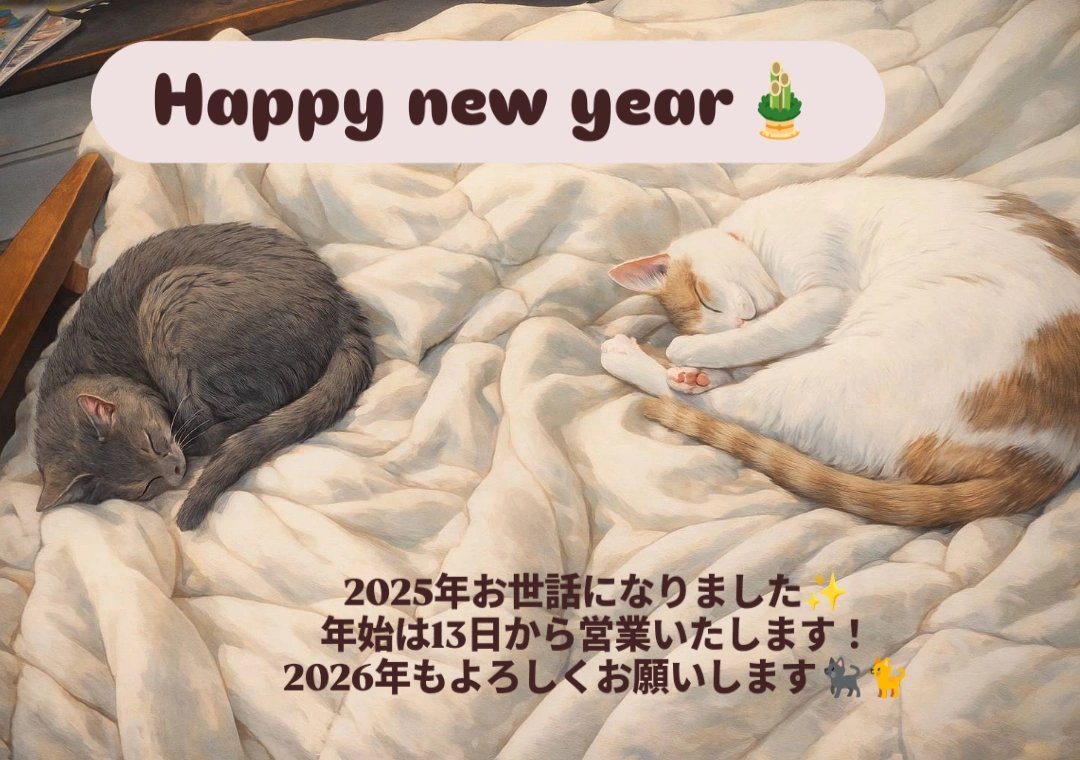 nerucafe12's tweet photo. 明けましておめでとうございます！今年はうまうま𓃗な1年にしていきたいと思います！
本年もよろしくお願いします🙇 https://t.co/O9TiPDqDjI