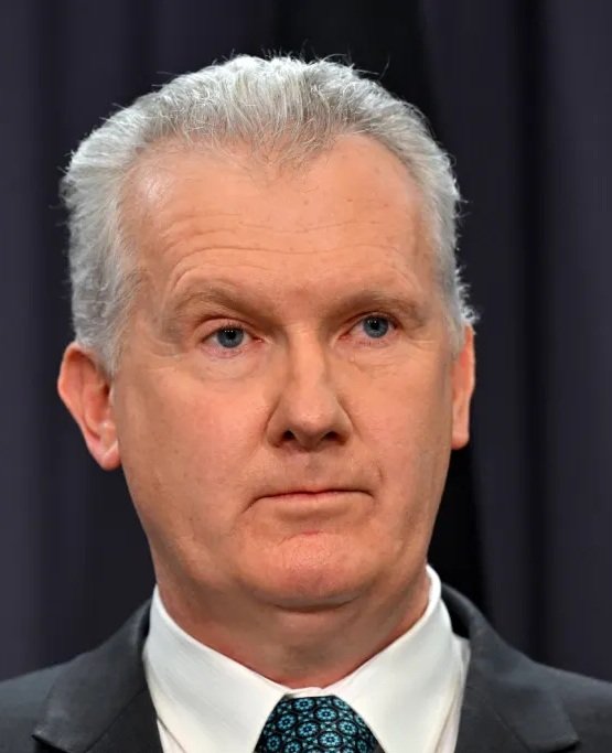 Bergermeister23's tweet image. Let's be brutally honest people.

These people below just aren't smart enough to be pulling the strings.