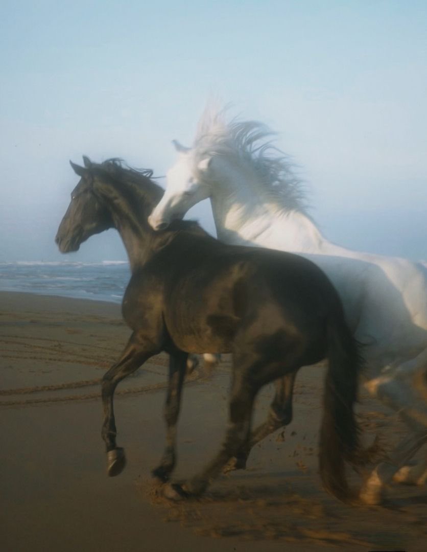 Butterflless's tweet image. 