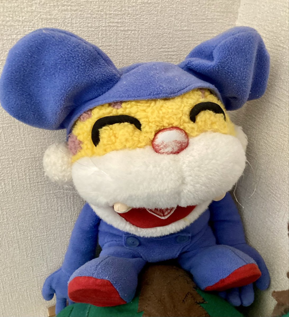 にゃんちゅう確認用ページ⭐️ にゃんちゅう