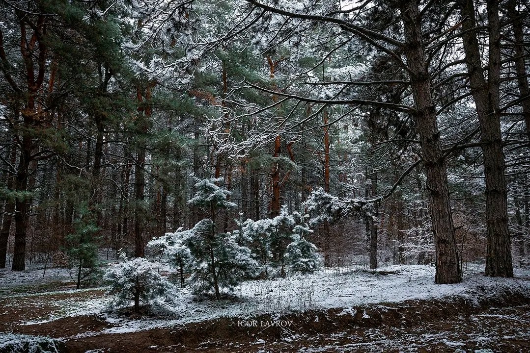Добрий ранок, народе!