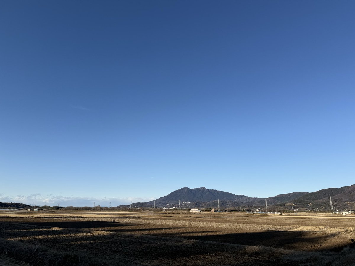 散歩好き 散歩の達人 2023年5月号 (発売日2023年04月21日) | 雑誌/電子書籍/定期