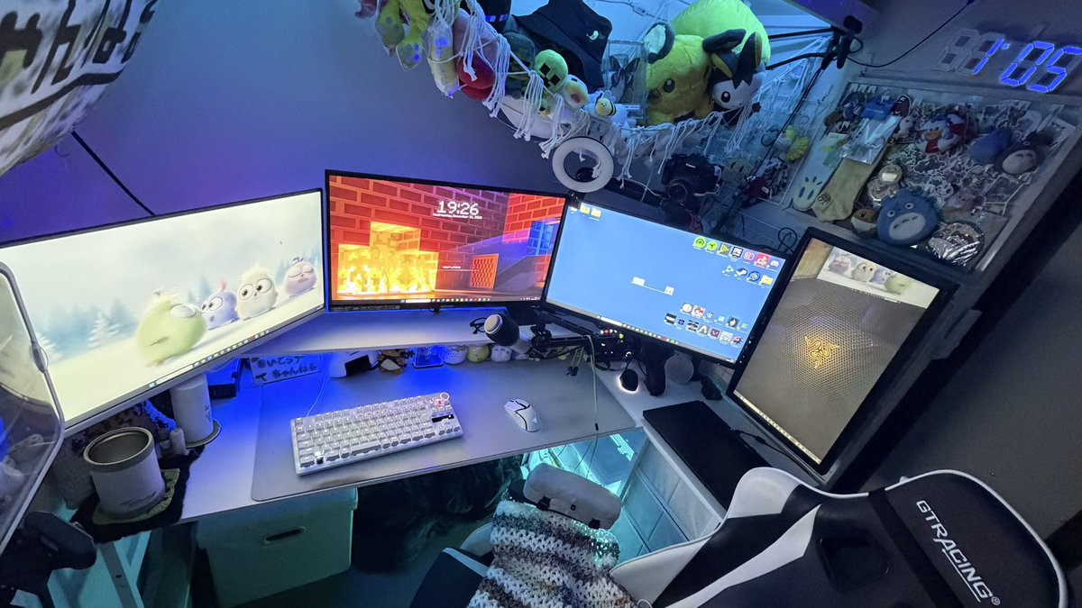 PPrn_きぃ－－－こっ＞🐤🌱 tweet media