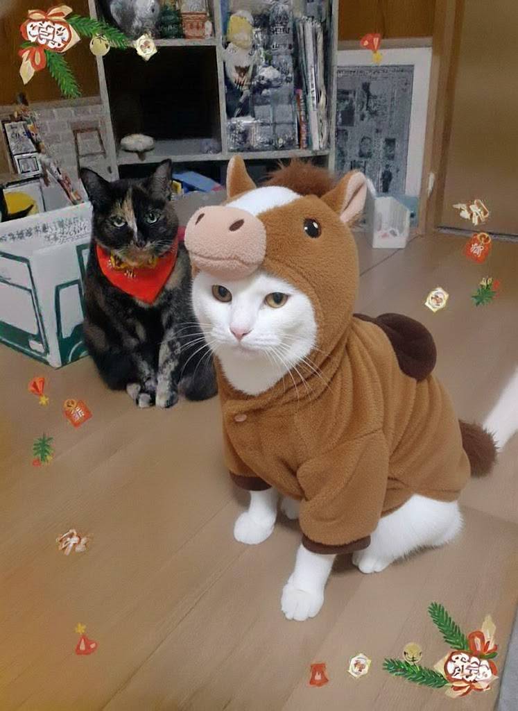 はるるん (@RNPrJ9xfX3PSoaA) / Posts / X