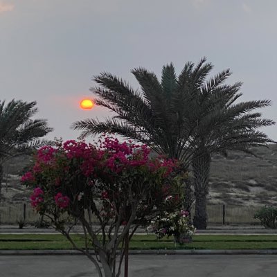 #صورة_جديدة_للملف_الشخصي