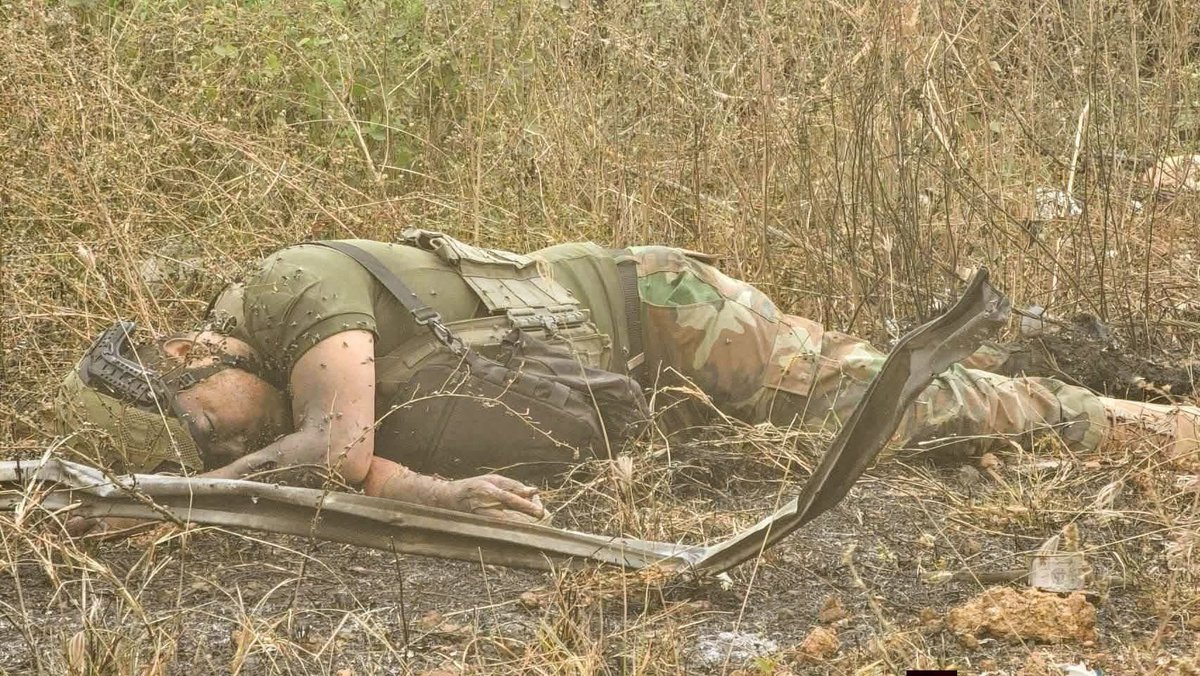 Army Military Force tweet media