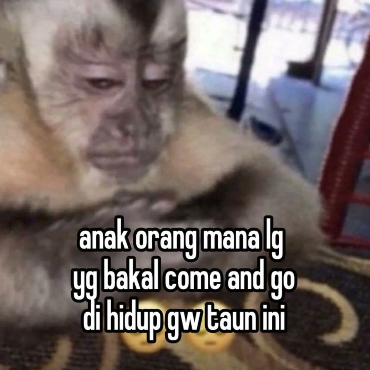 tokopedijee's tweet image. 