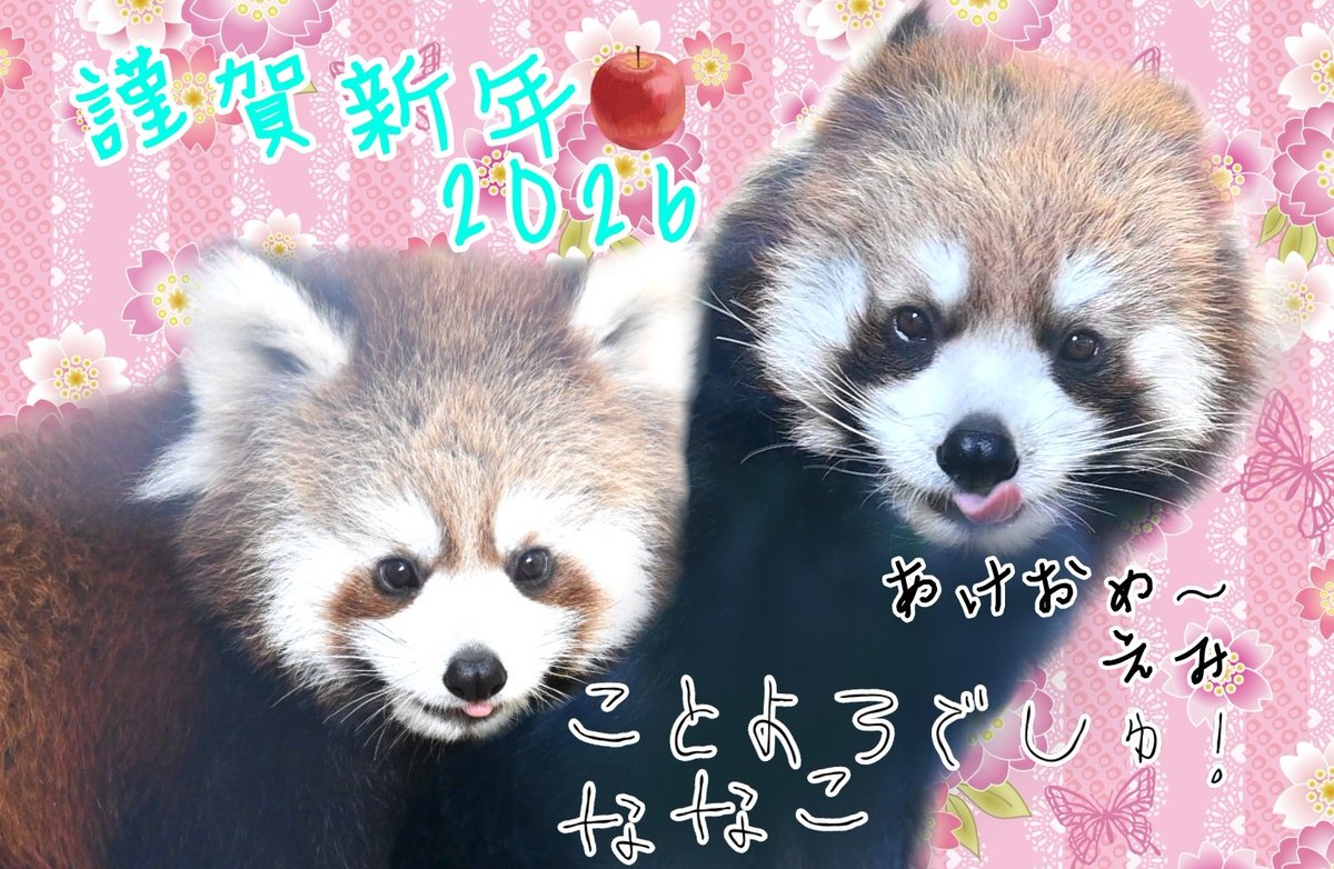 あけましておめでとうございます。
今年もよろしくお願いいたします。
健やかな一年になりますように。

*⋆⸜えみななギャル姉妹⸝⋆*