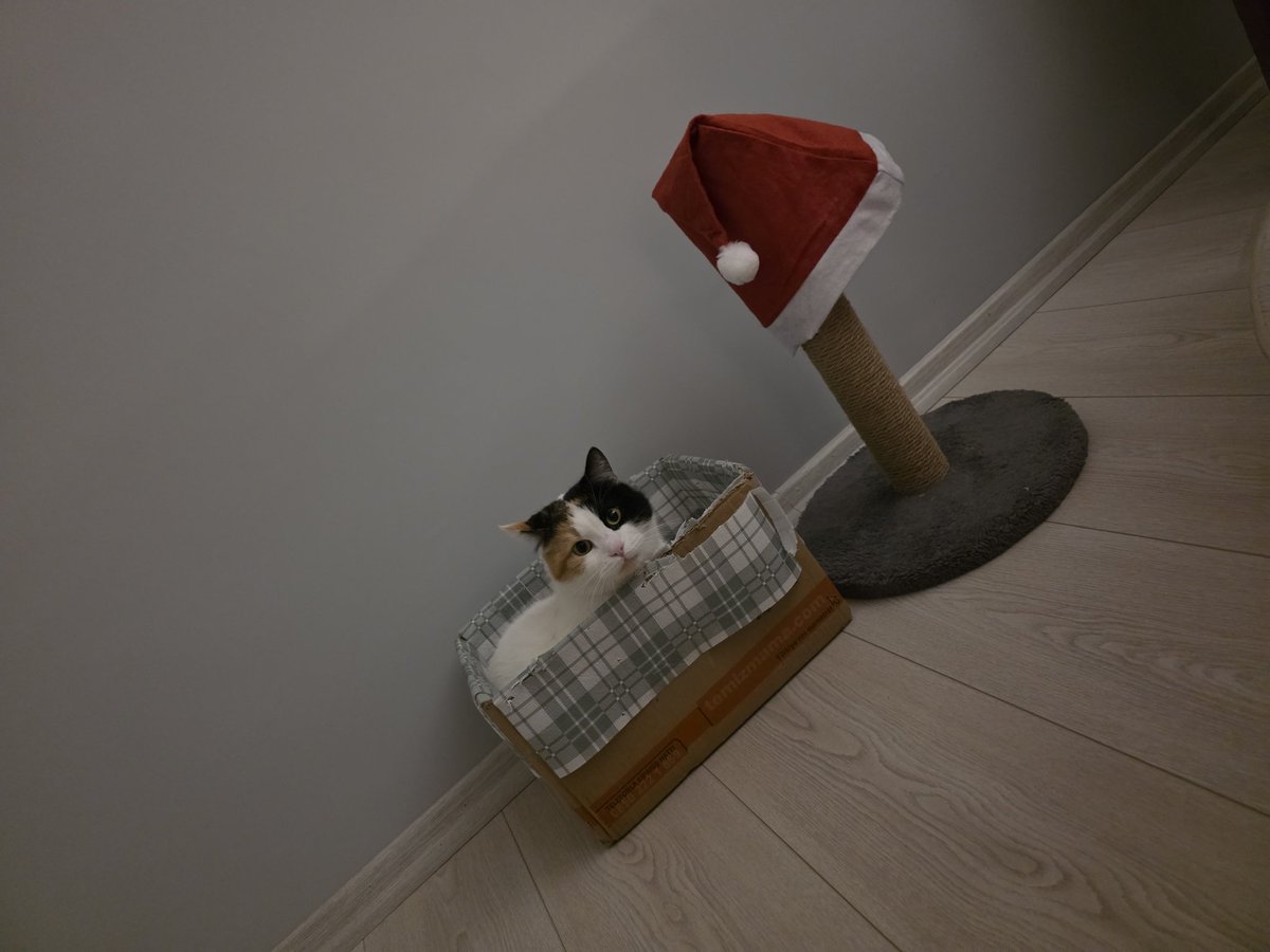 Gunaydin guzel insanlar ve aksamdan kalanlar 🫰🏻